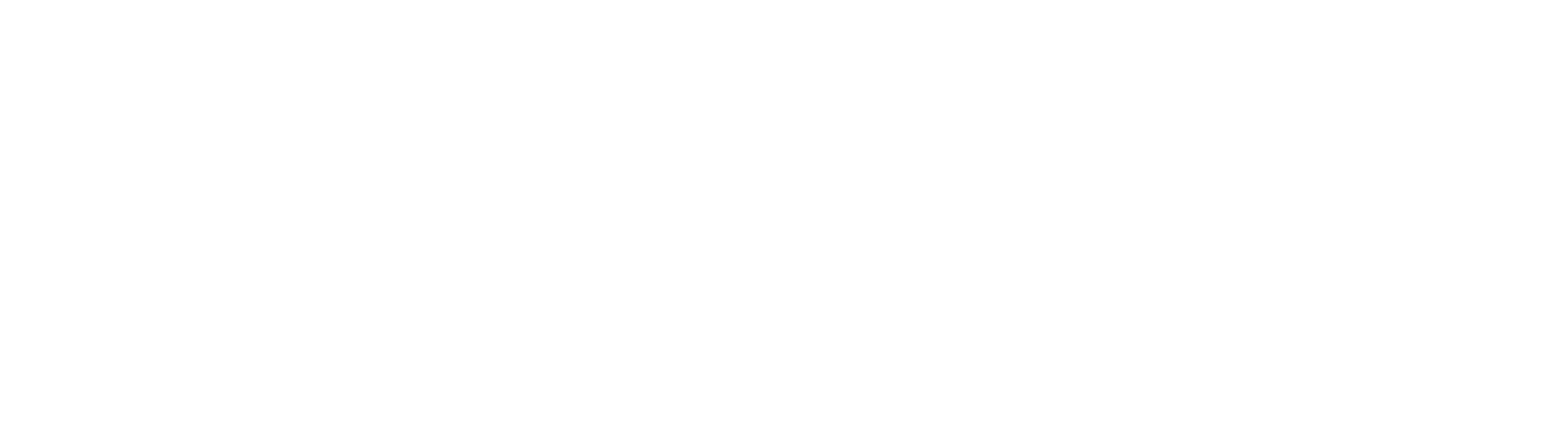 FURY Logo